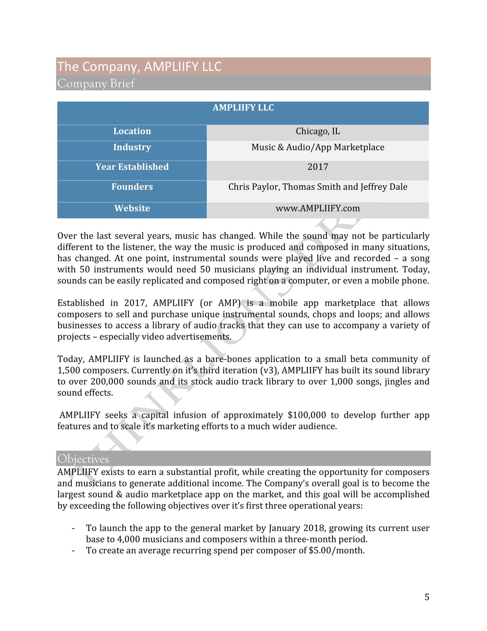software business plan - page 5